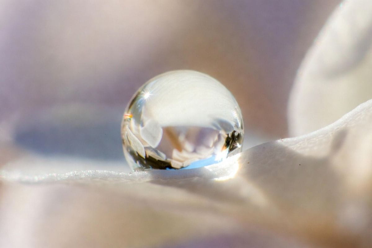 zostreni-smyslu-a-mentalni-jasnost